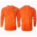 Maillot de foot France Gardien Extérieur vêtements Europe 2024 Manches Longues